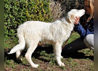 Heathon - sucht die Liebe seines Lebens