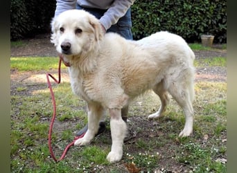 Quilmar - Was werden sie erzählen?