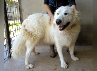 Leverett - Ich sehe was, was du (noch) nicht siehst!