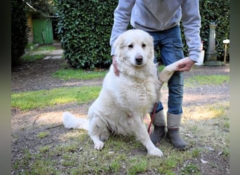 Quilmar - Was werden sie erzählen?