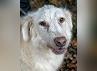 Quebry -NOTFALL - Es ist, was es ist...