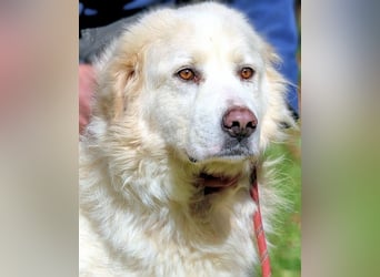 Eluard - Hoffnung auf echte Freundschaft!