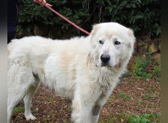 Apolonio - möchte für seine Menschen ein Fels in der Brandung sein