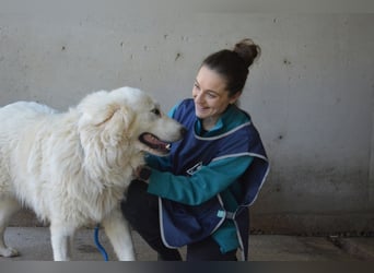 Leverett - Ich sehe was, was du (noch) nicht siehst!