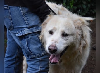 Eluard - Hoffnung auf echte Freundschaft!