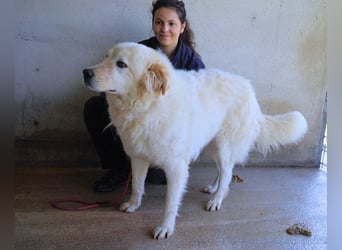 Skilah - Wenn Niemand zu Jemand wird