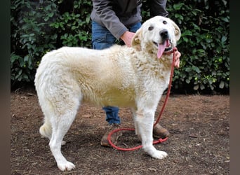 Dayton - niemals ist eine schrecklich lange Zeit