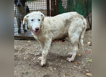 Stardust - Von der Erde zum Mond und zurück....