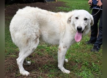 Dayton - niemals ist eine schrecklich lange Zeit