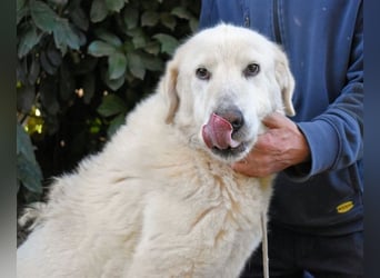 Makeen - es ist die Ohnmacht.....