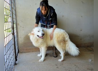 Leverett - Ich sehe was, was du (noch) nicht siehst!