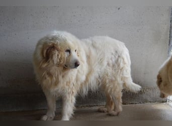 Atheron - Das Ehemaligentreffen