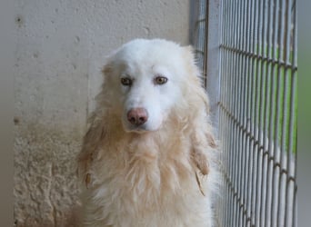 Fredrik - Was nach der Trennung kommt