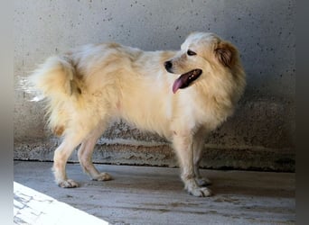 Skilah - Wenn Niemand zu Jemand wird