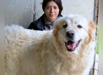 Skilah - Wenn Niemand zu Jemand wird