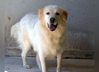 Skilah - Wenn Niemand zu Jemand wird