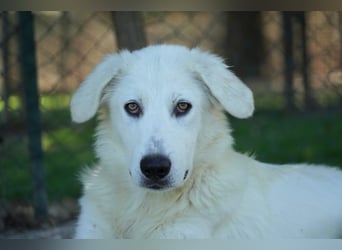 Madea - in ihrer ganzen Schönheit