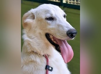 Isana - Wo ist mein neues Leben?