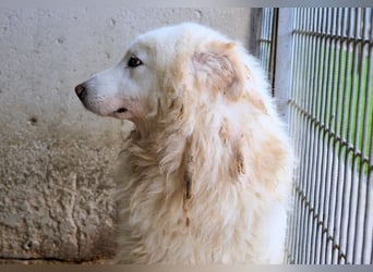 Fredrik - Was nach der Trennung kommt