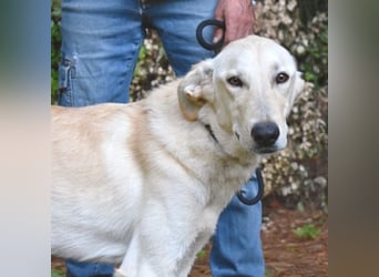 Yannick - eine zweite Kindheit?