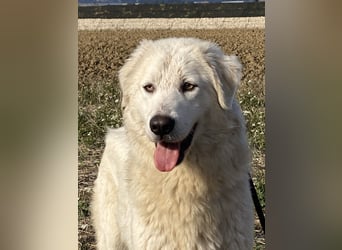 Madea - in ihrer ganzen Schönheit