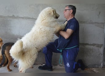 Quebry - Es ist, was es ist...