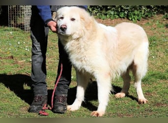 Eluard - Hoffnung auf echte Freundschaft!