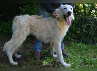 Isana - Wo ist mein neues Leben?