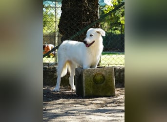 Mona - eine weiße Herzensbrecherin und ihre drei Schwestern