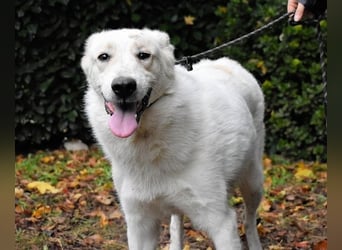 Yasmine - freundlicher Sonnenschein sucht sonniges Plätzchen