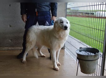 Rosvielle - Auf einer Skala von 1 bis 10....