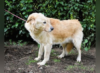 Antiloco - Nur ein Wunsch: endlich nach Hause!