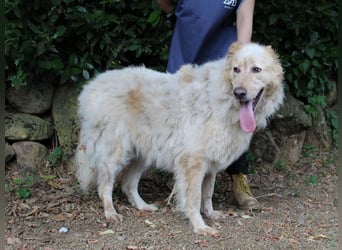 Paolo - Oh, huch, wow!!!