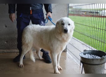 Rosvielle - Auf einer Skala von 1 bis 10....