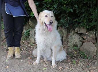 Paolo - Oh, huch, wow!!!