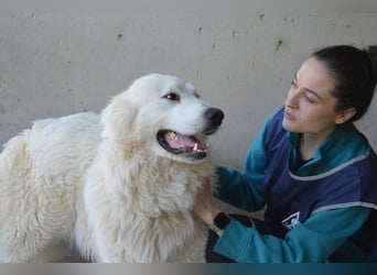 Leverett - Ich sehe was, was du (noch) nicht siehst!