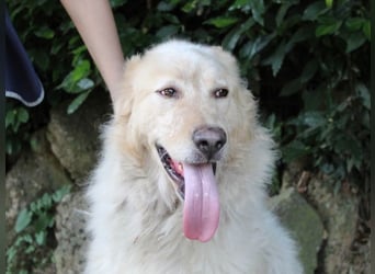 Paolo - Oh, huch, wow!!!