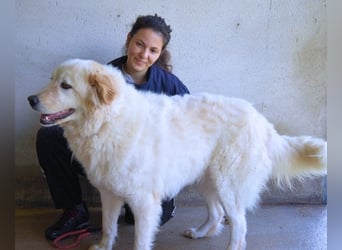 Skilah - Wenn Niemand zu Jemand wird