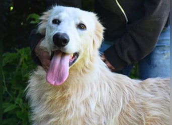 Isana - Wo ist mein neues Leben?