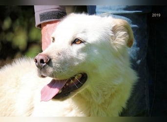 Zipper - Ein vergeudetes Leben