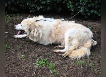 Eluard - Hoffnung auf echte Freundschaft!