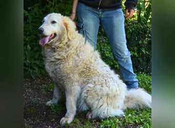 Filomela - Vom Sorgenkind zum Sonnenschein