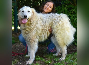 Filomela - Vom Sorgenkind zum Sonnenschein