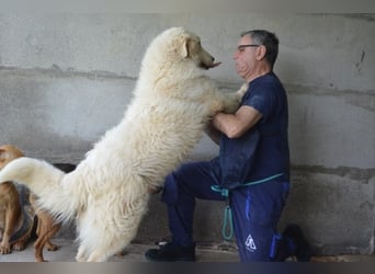 Quebry - Es ist, was es ist...