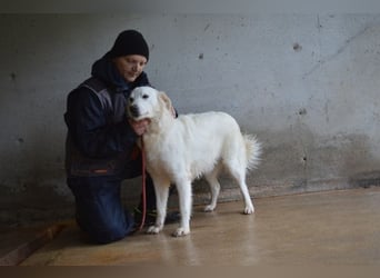 Meriwa - Doch nur wieder ein Kurzbesuch.....