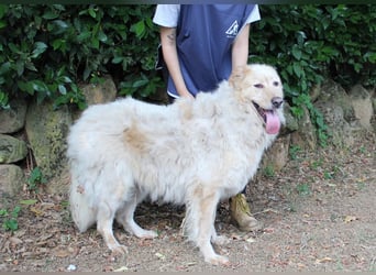 Paolo - Oh, huch, wow!!!