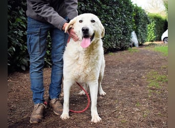 Dayton - niemals ist eine schrecklich lange Zeit