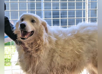 Albertone - Alles, alles Gute!!!