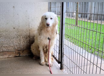 Fredrik - Was nach der Trennung kommt