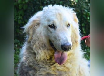 Filomela - Vom Sorgenkind zum Sonnenschein